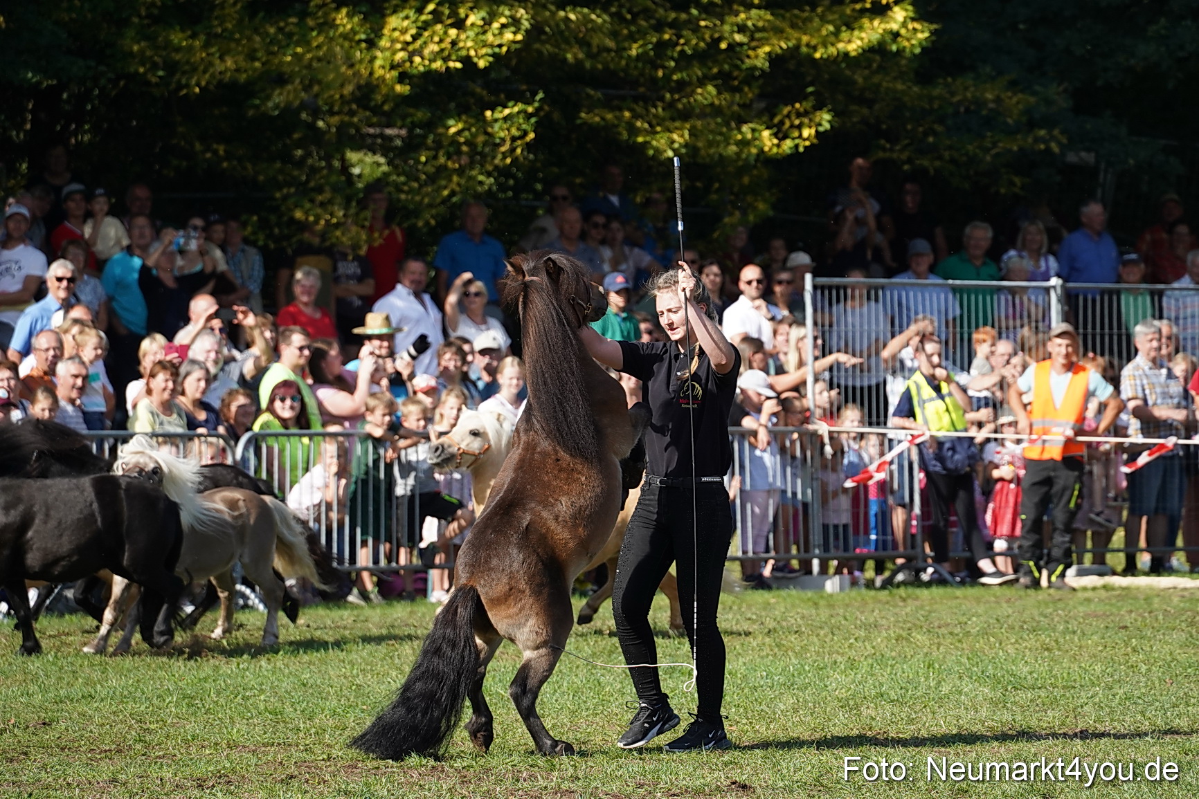 Pferde und Fohlenschau 2022 0077 